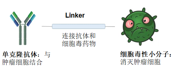 6376928178529950001748095.png