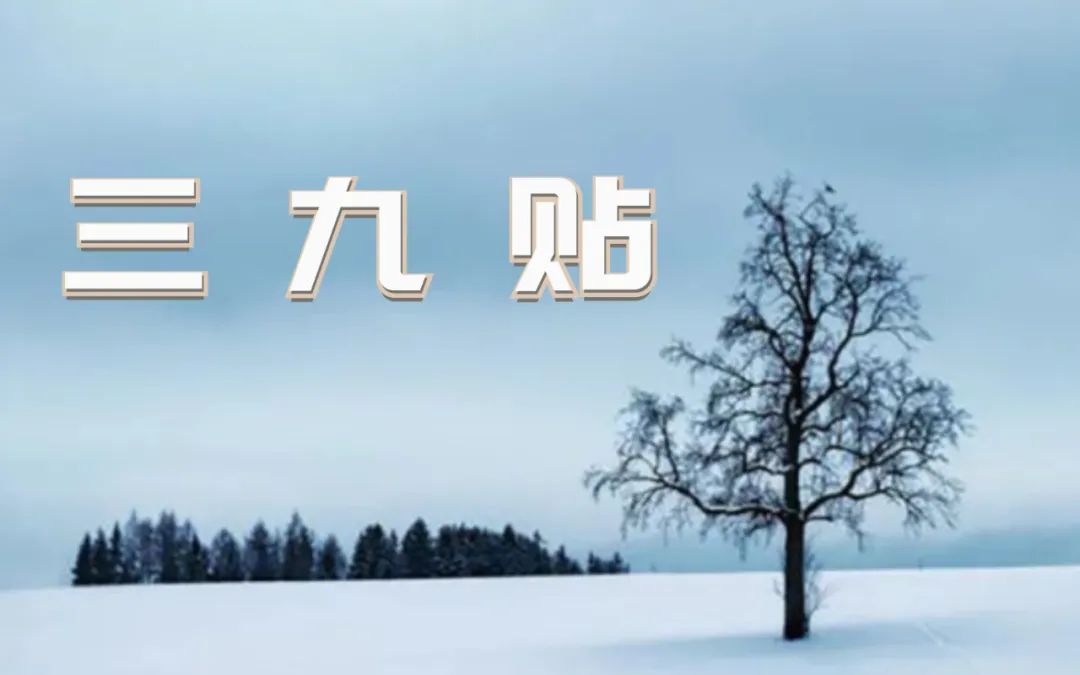 微信图片_20211213100444.jpg 微信图片_20211213100444.jpg
