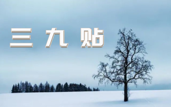 摄图网_1638445259.jpg 摄图网_1638445259.jpg