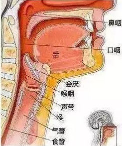 微信图片_20210608130116.png 微信图片_20210608130116.png
