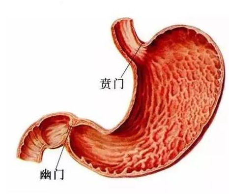 微信图片_20210608130120.png 微信图片_20210608130120.png