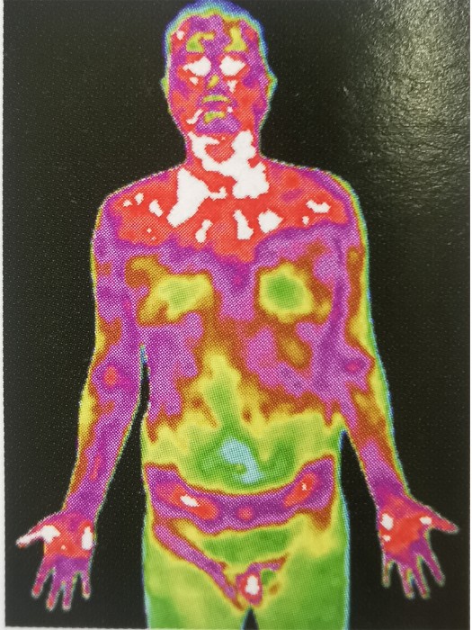 6377161733535612503827473.jpg
