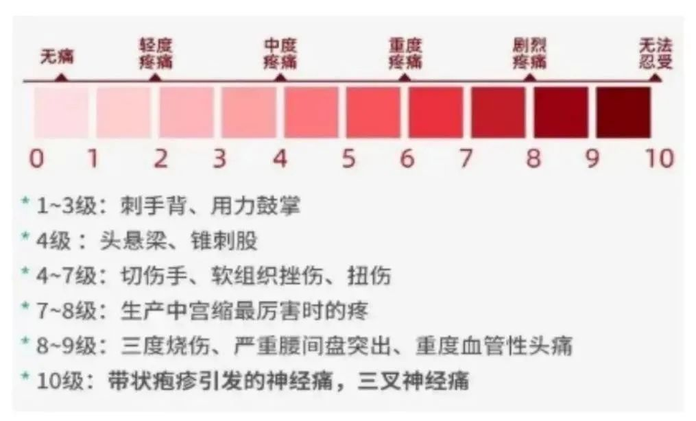 图片 5.png