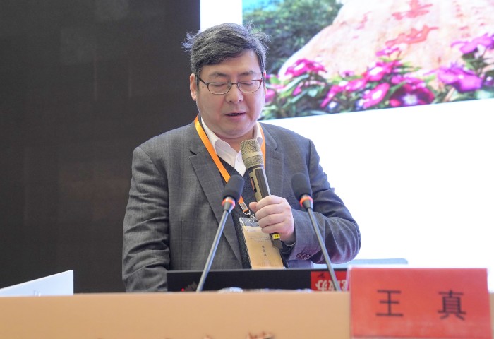 _DSC3096_看图王.jpg _DSC3096_看图王.jpg