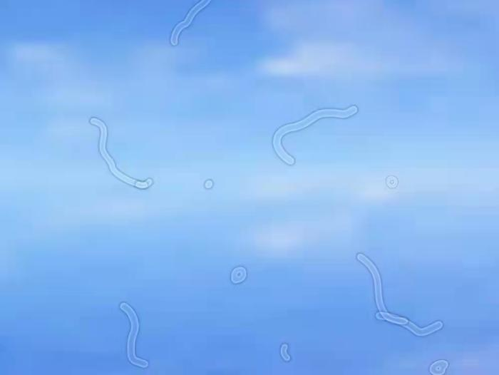 微信图片_20220221085422.png 微信图片_20220221085422.png