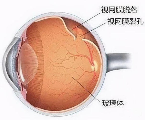微信图片_20220221085432.png