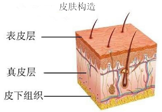 微信图片_20220228143352.png