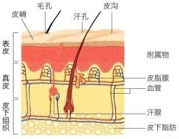 微信图片_20220228143357.png