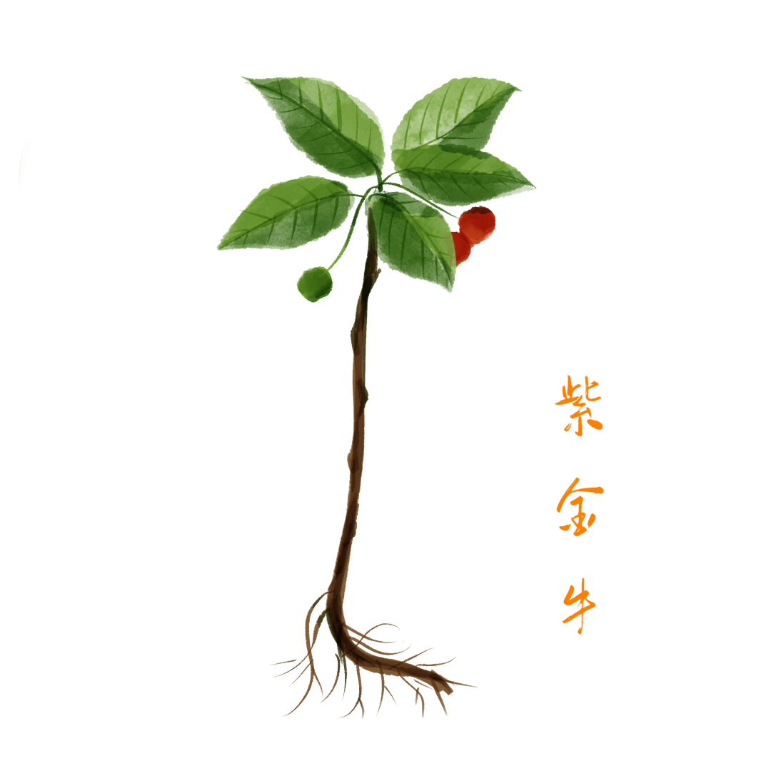 6375953917926137502938376.png