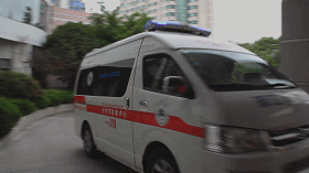 5.gif 5.gif