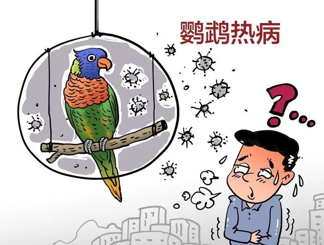 u=3294967869,2867874504&fm=253&fmt=auto&app=138&f=JPEG.webp.jpg