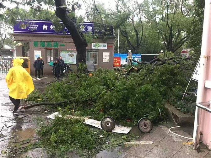图片 2.png