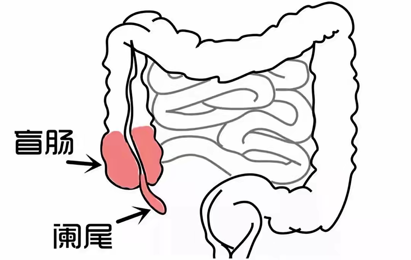 微信图片_20220628122614.png 微信图片_20220628122614.png