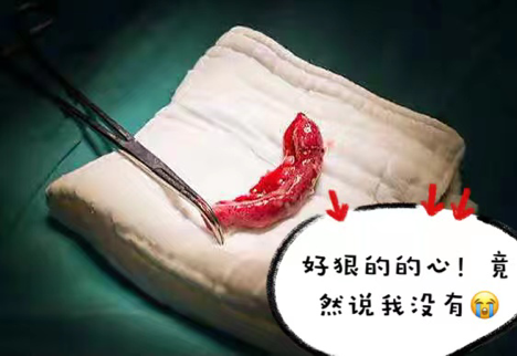 微信图片_20220628122641.png