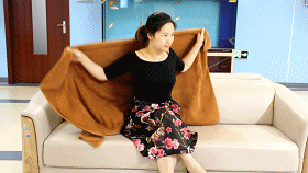 6373792475928865637590924.gif