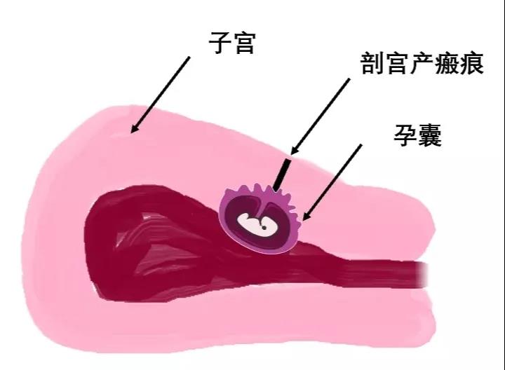 微信图片_20210319094956.jpg