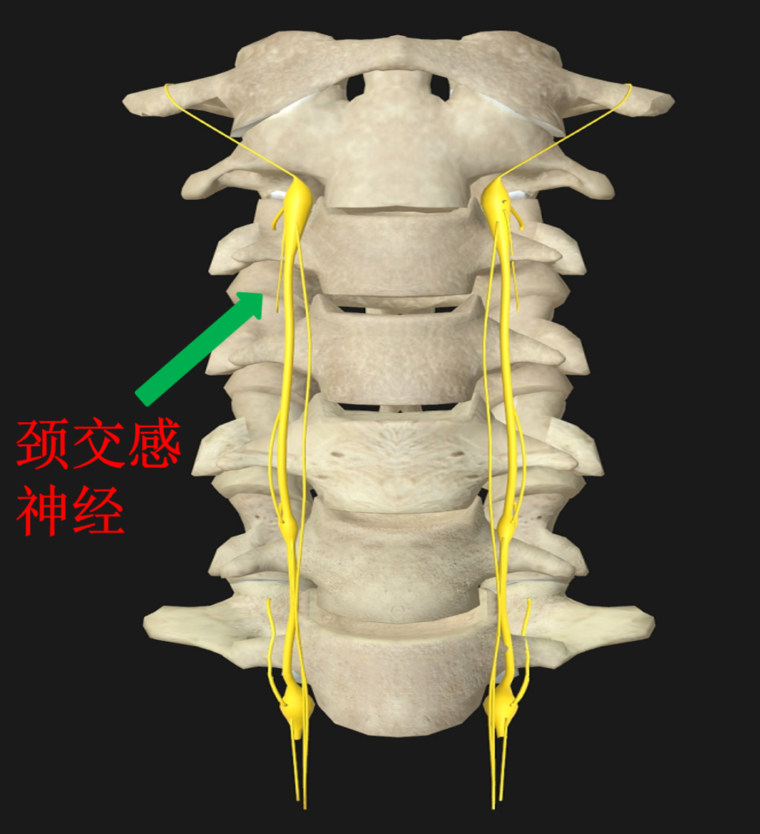 微信图片_20210524144104.png 微信图片_20210524144104.png