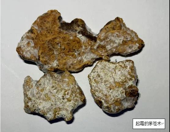 图片1.jpg 图片1.jpg