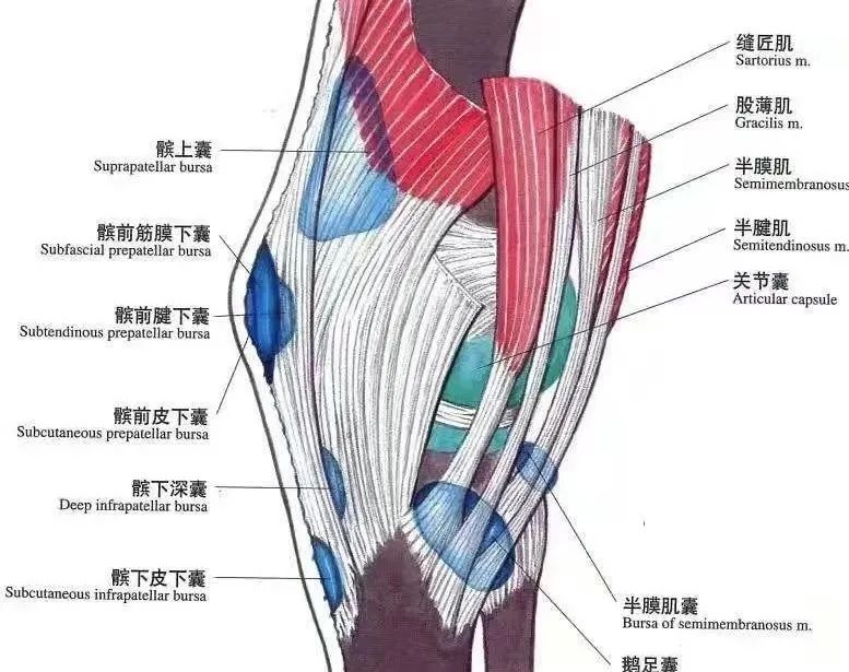 微信图片_20220516102549.jpg 微信图片_20220516102549.jpg