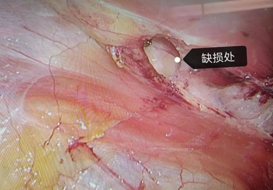 微信图片_20220429142112.jpg 微信图片_20220429142112.jpg