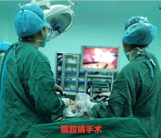 微信图片_20220117084303.jpg 微信图片_20220117084303.jpg