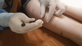 6373679434927365842452728.gif