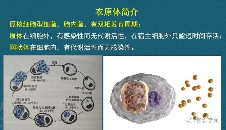 微信图片_20220117100756.jpg 微信图片_20220117100756.jpg