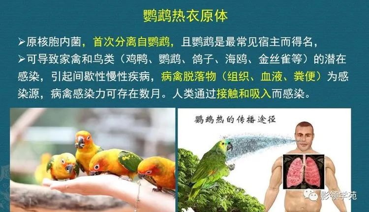 微信图片_20220117101011.jpg 微信图片_20220117101011.jpg