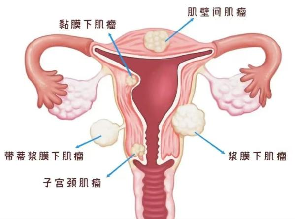 微信图片_20250218104128.png